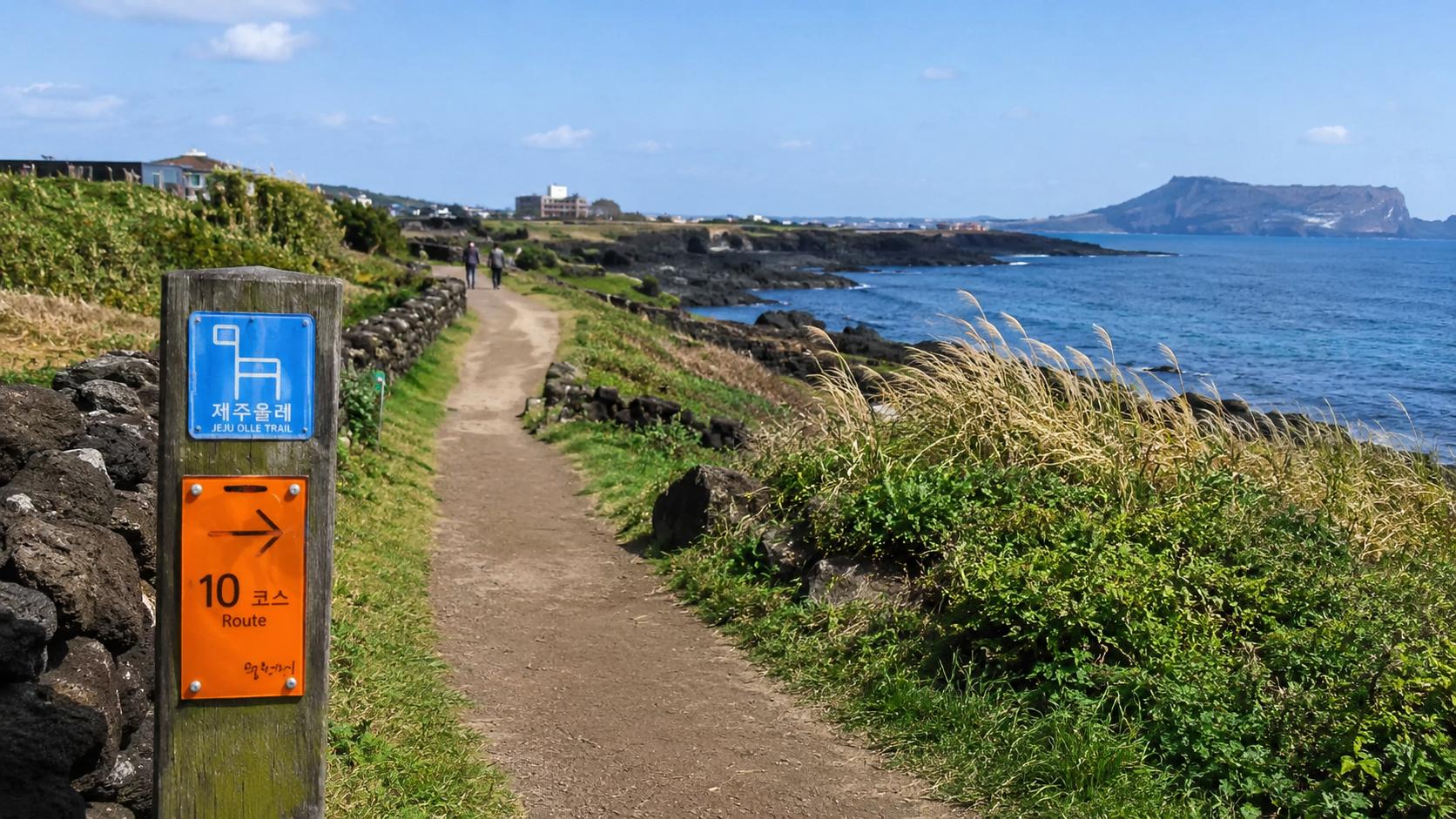 Jeju Olle Trail: Which Course to Walk and What to Know Before You Go