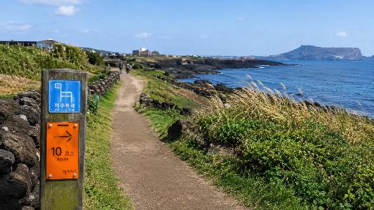Jeju Olle Trail: Which Course to Walk and What to Know Before You Go