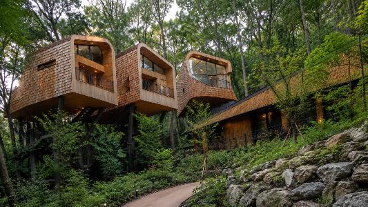 Surak Hu: Seoul’s Hidden Forest Retreat Above the City