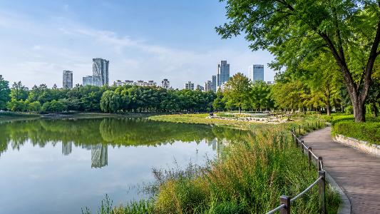 Why Seoul Forest Became Seoul’s Favorite Urban Escape