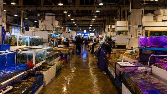 Inside Seoul’s Market Where Korea’s Freshest Seafood Arrives